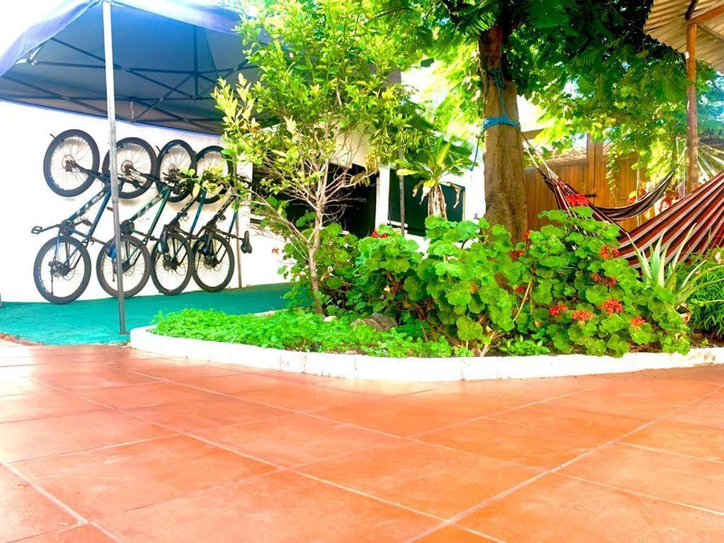 Hostal White House Galapagos Puerto Ayora  Exteriör bild