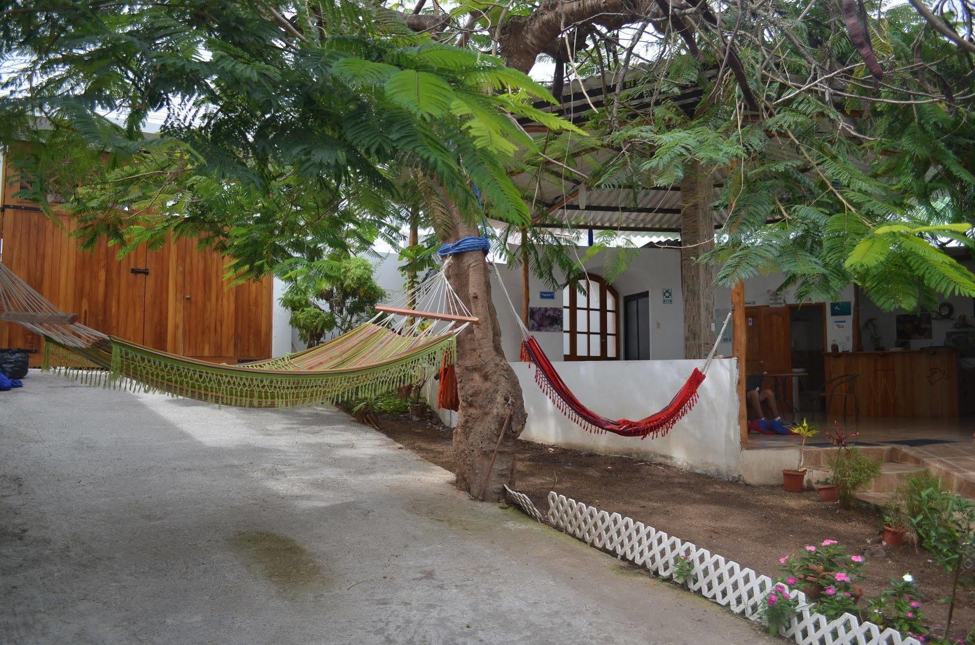 Hostal White House Galapagos Puerto Ayora  Exteriör bild